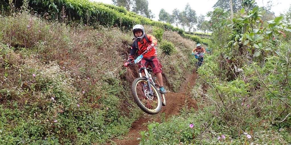 Kaligua Bikepark